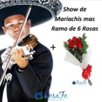 Mariachi con Rosas